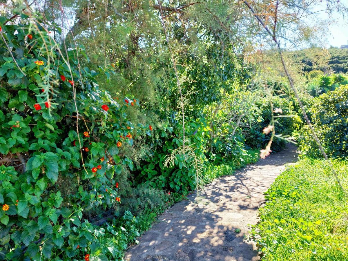 El Jaral Villa Garafia Bagian luar foto