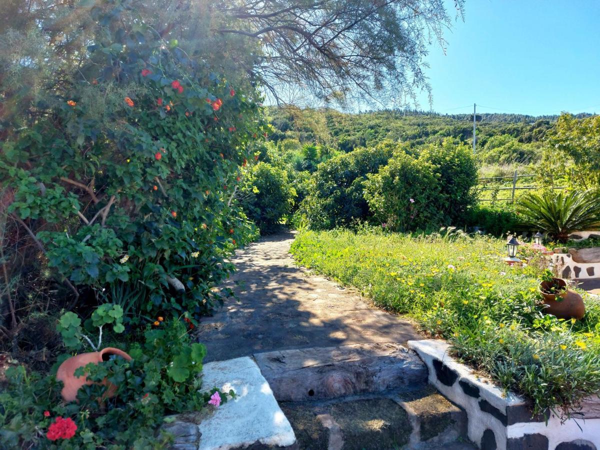 El Jaral Villa Garafia Bagian luar foto